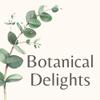 Oregon Grape Root & Karanja Salve with Calendula, Chickweed, Plantain and Yarrow - Soothes Conditions Such as Eczema and Psoriasis. Designed to Calm and Restore Your skin's Natural biome Balance. view 4