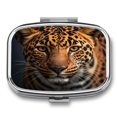 Black & Brown Leopard Pill Case 2 Compartments Travel Pill Organizer for Pocket Small Pill Box Portable Pill Container Metal Medication Holder to Hold Vitamin Fish Oil Supplement