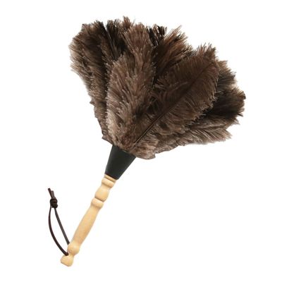 Angoily Long Handled Car Duster with Wooden Handle, Anti-Slip Grip Dust Remover for Home and Interior Cleaning, Gentle Plume Duster for Furniture and Cobweb Removal