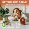 Bird Sound Box with Motion Sensor, Continuous Natural Bird Chirping for Relaxation & Stress Relief, Realistic Forest Ambience Sound for Bathroom, Bedroom, Office & Hallway view 4