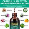 FANSHI 2PCS Lymphatic Drainage Drops Advanced Botanical Formula with 16 Herbs & Liposomal Delivery Supports Immune Health Maximum Absorption & Vegan view 3