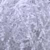 Zankubom White Crinkle Cut Paper Shred Filler for Gift Wrapping | 10 LB Basket Fillers for Easter, Birthday, Wedding, Christmas Party Decorations | Shredded Paper Pack Supplies view 1