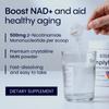 Simply Nature's Pledge Simply NMN Powder 108g Fast Dissolve Nicotinamide Mononucleotide 500mg Pure NMN NAD+ Booster USA Manufactured & Third-Party Tested - The Renued Science of Longevity view 3