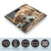 Lazy Dog Puppy Digital Bathroom Scale for Body Weight Accurate Weighing Scale Digital Scale Fashion Weight Scale High Precision Smart Scale with Ultra-Wide Platform Large LCD Display view 3