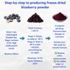 Nat Flav Freeze-Dried Blueberry Powder | 7oz | 100% Natural Fruit | No Sugar & Additives | Non-GMO & Vegan Friendly | Flavoring Powder | Freeze Dried Backpacking & Camping Food | Make of Fresh fruit view 3