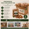 10 Lbs Premium Mixed Nuts in Shell,Walnuts,Pecans,Almonds,Hazelnuts (NO BRAZIL NUT) view 4
