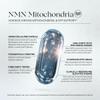 Actimeta NMN Mitochondria Supplement - NMN 500mg, NAD+ & ATP Support for Cellular Vitality and Longevity - Clinically Tested elevATP, Resveratrol, CoQ10, Alpha Lipoic Acid - 90 Veggie Capsules view 2