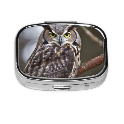 Square Round Pill Case Eastern owl Pill Box Daily 2 Compartment Travel Pill Container for Pocket Purse Portable Medicine Cod Liver Oil Storage Box 2 Times a Day Pill Organizer