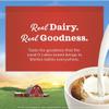 Coffee Creamer Mini Moos Half & Half Creamer Singles Packets, 192 Count Pack-1 view 4