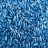 Raw Power Odin's Eye Superfood Tablets (500 Count / 500mg Each / 250g), Spirulina and Astaxanthin Coated with 100% Blue Spirulina Phycocyanin view 3