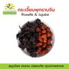 Authentic Thai Dried Roselle and Dried Jujube Set - Whole Hibiscus Sabdariffa and Red Date Fruit for Herbal Infusions and Culinary Use (1000g) view 2