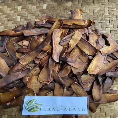 Biji Mahoni (Swietenia mahagoni) Dried (30 gram)