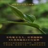 1 Natural Loose Leaf Tea,Chinese Tea, Sulfur Free 100/ Flower tea,dark tea,loose tea view 2