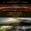 1 Natural Loose Leaf Tea,Chinese Tea, Sulfur Free 100/ Flower tea,dark tea,loose tea view 3
