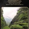Natural Loose Leaf Tea,Chinese Tea, Sulfur Free 150 Flower tea,dark tea,loose tea view 3