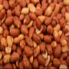 NutroHive Roasted & Salted Spanish Peanuts with Red Skin Crunchy, Protein Snack (2 Pound) view 1