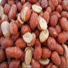 NutroHive Roasted & Salted Spanish Peanuts with Red Skin Crunchy, Protein Snack (2 Pound) view 2