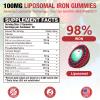 2 Pack 100MG Iron Bisglycinate Gummies 10-in-1 Ferrous Bisglycinate for Women Men Plus Vitamin C, Vitamin B6 B12 for Iron Deficiency, Support Iron Levels, Energy & Stamina, Immunity Support view 2