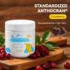 Elthysia Cranberry for Dogs - D-Mannose Urinary Tract Support Supplement, 90 Soft Chews for Bladder Health & UTI Prevention view 2