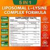 Liposomal L-lysine Gummies 1200mg, Lysine Chewable Supplement with Vitamin C, D3, B12 & Zinc for Adults & Kids, Immune & Collagen Support, Lips & Skin Health, Vegan, Natural Fruit Flavor, 120 CT view 2