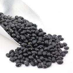 Black Turtle Beans - Carlson Arbogast Farms Michigan USA - Earthy Rich Flavor - Soups, Chili, Tacos, Burgers, Dip - Vegan Farm Direct (5 LB)