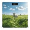 Green Prairie Stroll Smart Body Weight, Highly Accurate Digital Weighing Scale with Large LCD Display, Durable Weight Scale for Home Use, Measures Weight Up to 400 Lb/180kg view 1