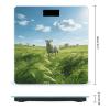 Green Prairie Stroll Smart Body Weight, Highly Accurate Digital Weighing Scale with Large LCD Display, Durable Weight Scale for Home Use, Measures Weight Up to 400 Lb/180kg view 2