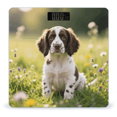 English Springer Spaniel Smart Body Weight, Highly Accurate Digital Weighing Scale with Large LCD Display, Durable Weight Scale for Home Use, Measures Weight Up to 400 Lb/180kg