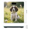 English Springer Spaniel Smart Body Weight, Highly Accurate Digital Weighing Scale with Large LCD Display, Durable Weight Scale for Home Use, Measures Weight Up to 400 Lb/180kg view 2