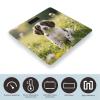English Springer Spaniel Smart Body Weight, Highly Accurate Digital Weighing Scale with Large LCD Display, Durable Weight Scale for Home Use, Measures Weight Up to 400 Lb/180kg view 3