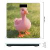 Pink Goose Smart Body Weight, Highly Accurate Digital Weighing Scale with Large LCD Display, Durable Weight Scale for Home Use, Measures Weight Up to 400 Lb/180kg view 2
