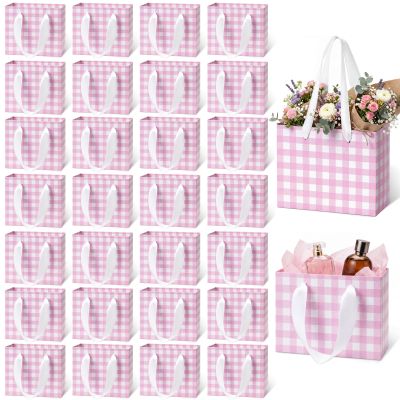 Ctosree 24 Pcs Pink Gingham Mini Gift Bags with Silk Handles, 4.72 x 2.36 x 3.94 Inches Small Paper Goodie Pack Bulk, Checkered Plaid Party Favor Bags for Candy Treats, Birthday Baby Shower Wedding