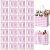 Ctosree 24 Pcs Pink Gingham Mini Gift Bags with Silk Handles, 4.72 x 2.36 x 3.94 Inches Small Paper Goodie Pack Bulk, Checkered Plaid Party Favor Bags for Candy Treats, Birthday Baby Shower Wedding view 1