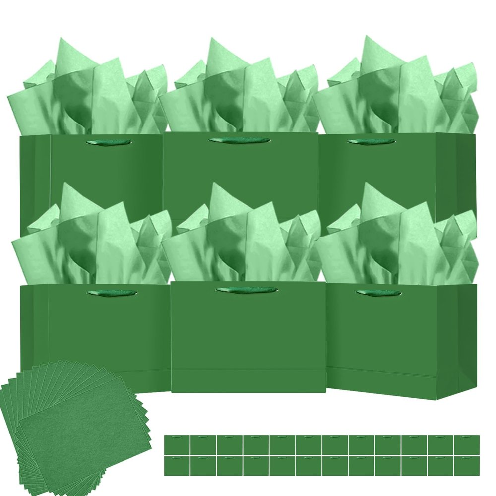 qiqee 24PCS Dark Green Gift Bags with Ribbon Handles 9.6"x7.9"x4.3" Medium Size Gift Bags (Tissue Paper included, Medium Wide)