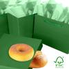 qiqee 24PCS Dark Green Gift Bags with Ribbon Handles 9.6"x7.9"x4.3" Medium Size Gift Bags (Tissue Paper included, Medium Wide) view 2