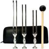 Gardiner Brown Tuning Forks Set for Healing, Medical Grade, Stainless Steel Tuning Forks, 128hz 256hz & 512hz, Sound Healing, Vibration Therapy, Set of 3 view 1
