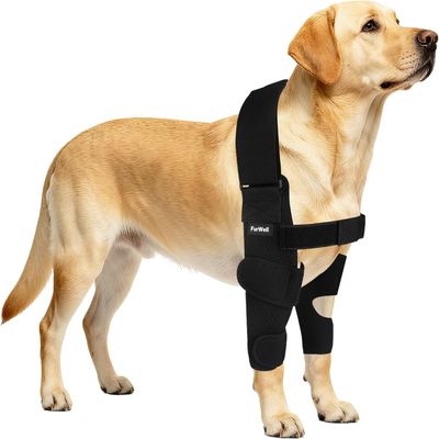 Dog Elbow Brace Protector with Decoupled Chest Strap - Breathable, Abrasion-Resistant - Adjustable Elbow Support for Hygroma, Dysplasia, Arthritis, Calluses & Shoulder Instabilit(Both Legs, XL)