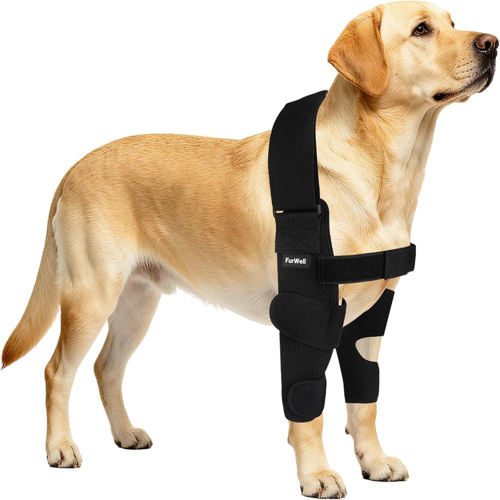 Dog Elbow Brace Protector with Decoupled Chest Strap - Breathable, Abrasion-Resistant - Adjustable Elbow Support for Hygroma, Dysplasia, Arthritis, Calluses & Shoulder Instabilit(Both Legs, XL)
