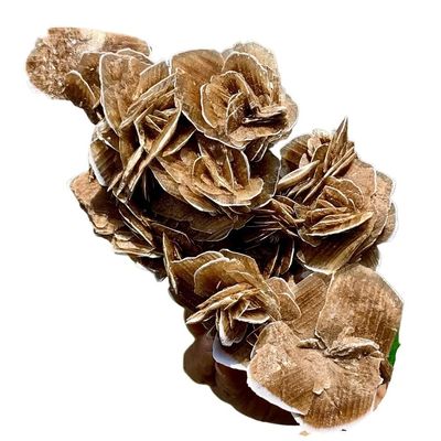1pc 210-300g Selenite Desert Rose Crystal Cluster Gemstone Room and Office Decoration