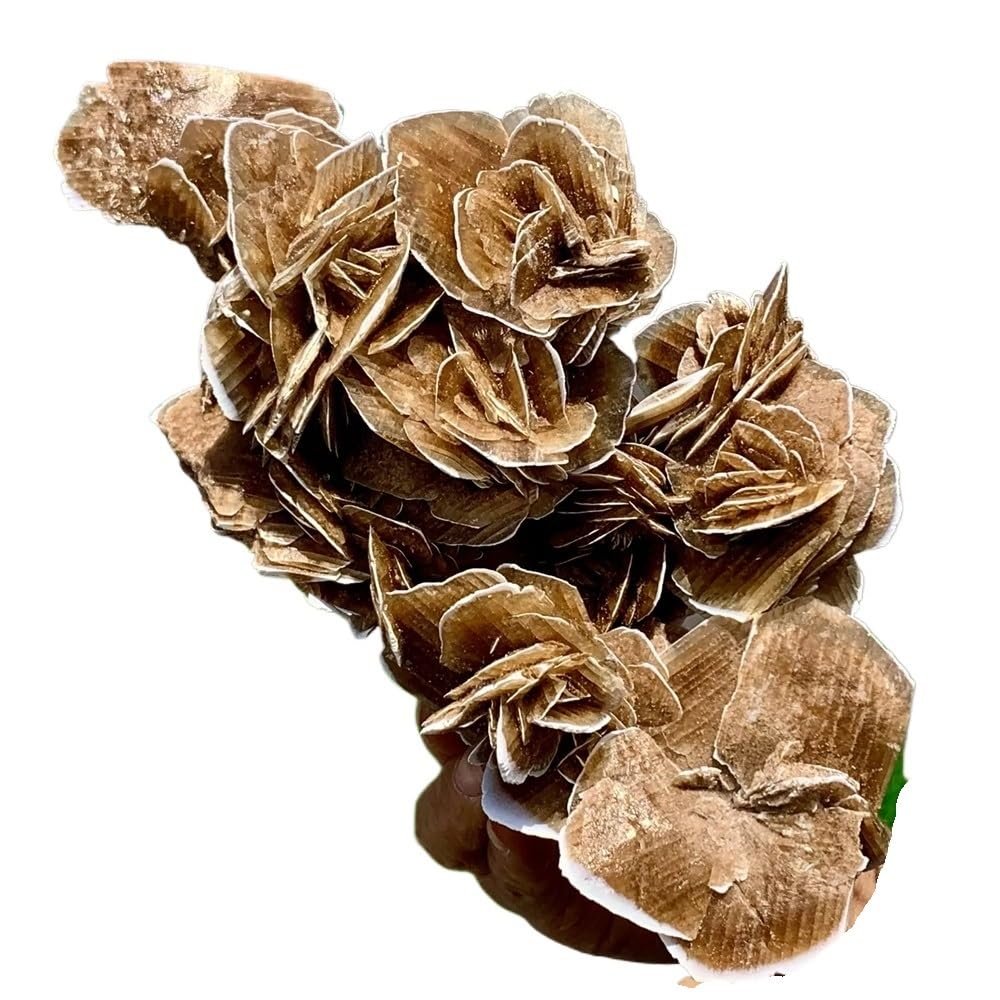1pc 210-300g Selenite Desert Rose Crystal Cluster Gemstone Room and Office Decoration