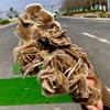 1pc 210-300g Selenite Desert Rose Crystal Cluster Gemstone Room and Office Decoration view 4