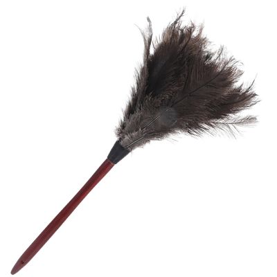 DOITOOL Natural Plume Duster for Cleaning, Household Dust Removal Tool with Wooden Handle, Lightweight Home and Office Ceiling Fan Duster, Single Pack