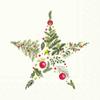 IHR Ideal Home Range Lunch Napkins Disposable 3-Ply Paper Party Supplies, 6.5" x 6.5", Christmas Branches Star (Light Green), 20-Count view 1