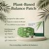 2 Hanpo Japanese Herbal Balance Patch, Plant-Based Ingredients, Comfortable Adhesive Design, Easy Topical Use, 2 Boxes, 10 Patches view 2