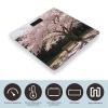 Cherry Blossoms Bathroom Scale Bright Liquid Crystal Screen Weight Scale Digital Scale for Home Bedroom Accurate Bathroom Body Scales for Body Weight Pet view 3