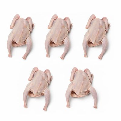 Frozen All Natural Premium Cornish Hens , Whole Cornish Game Hens without Giblets, Tender & Juicy, Ideal for Roasting & Family Meals , Individually portioned small whole hens for consistent cooking and elegant presentation , Frozen to lock in freshne
