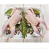 Frozen All Natural Premium Cornish Hens , Whole Cornish Game Hens without Giblets, Tender & Juicy, Ideal for Roasting & Family Meals , Individually portioned small whole hens for consistent cooking and elegant presentation , Frozen to lock in freshne view 2