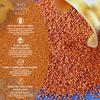 DFOLS Ragi Finger Millet Whole Grain Earthy Nutty Flavor Cooking 0.55lb 8.82oz (250g) Premium Quality view 2
