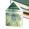 Singing Bird Box White Noise Device with Timer view 1
