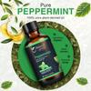Peppermint Essential Oil - Pure Aromatherapy Oil for Diffusers, Hair Growth, Skin, Scalp Care, Massage | Refreshing Hair Oil for Women & Men | Essential Oil for Diffuser | 4 Fl Oz (118 mL) view 2